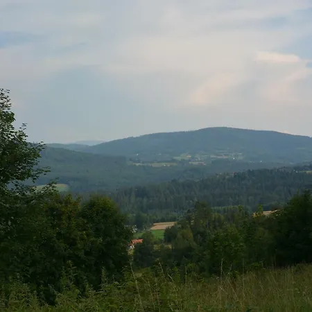 U Rzepki